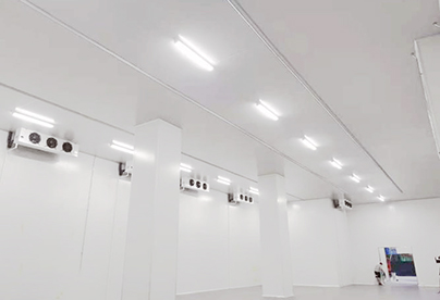 醫藥冷庫建造
