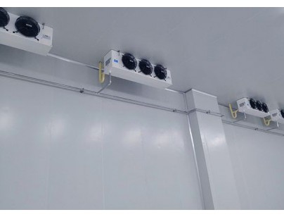 南京綠葉制藥-20℃醫藥防爆冷凍庫工程設計安裝方案