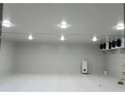南京綠葉制藥-20℃醫藥防爆冷凍庫工程設計安裝方案