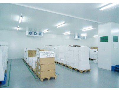 南京綠葉制藥-20℃醫藥防爆冷凍庫工程設計安裝方案