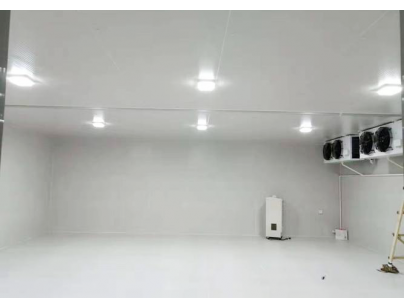 上海九州通達110703立方醫藥冷庫建造工程