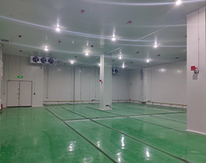 建造防爆冷凍冷庫機組供應廠家電話