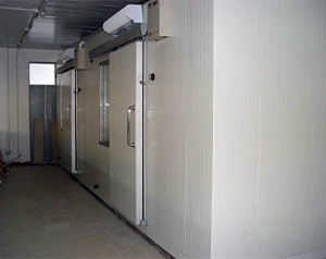 榴蓮冷凍庫、榴蓮冷庫貯藏技術、榴蓮速凍庫建造成本多少