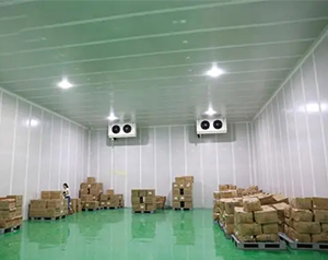 安裝10000m³生鮮物流冷藏庫(kù)（低溫倉(cāng)庫(kù)）建設(shè)廠(chǎng)家收費(fèi)標(biāo)準(zhǔn)