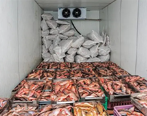 舌尖上的漁業制冷-海鮮、魚類冷庫