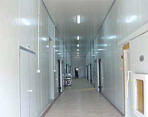 企業(yè)建造冷庫(kù)大概需要多少預(yù)算多少錢?是否要建造冷庫(kù)
