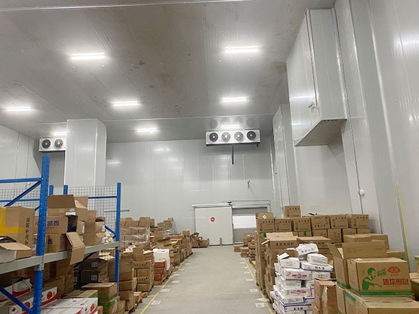 蘑菇種植園冷庫建造面積及造價費用