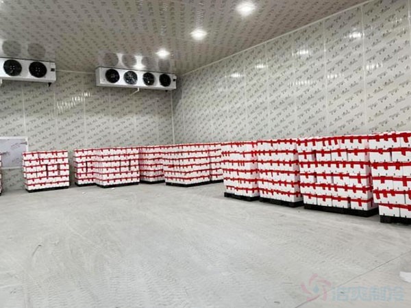 香蕉冷庫存儲多久