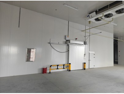 四川眉山35000立方米食品儲藏加工配套冷鏈物流冷庫建造工程