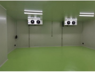 成都康諾亞一橋生物科技公司創(chuàng)新醫(yī)藥冷庫(kù)建設(shè)工程案例