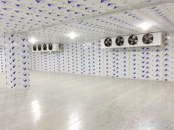 江西肉類速凍冷庫工程