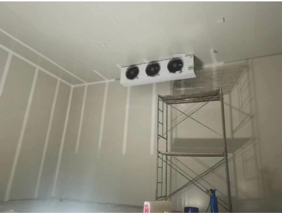 浙江仙居股份經濟合作社羊肚菌氣調保鮮冷庫建造工程案