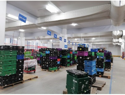 杭州盒馬48000m3生鮮配送型冷鏈物流園冷庫(kù)建造工程案例