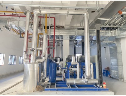 杭州盒馬48000m3生鮮配送型冷鏈物流園冷庫(kù)建造工程案例