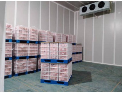 湖州練美農(nóng)業(yè)果蔬產(chǎn)地型氣調(diào)冷庫(kù)建造工程案例