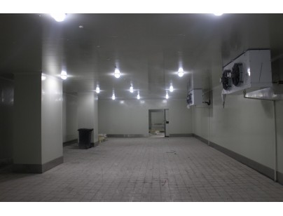 我廚（上海）生鮮果蔬凈菜加工冷庫(kù)工程建造案例