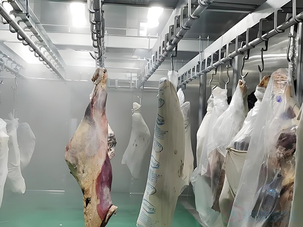 屠宰廠冷庫(kù)建造